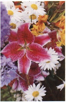 The Inspiration of Flowers