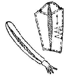 wpeF.jpg (9932 bytes)