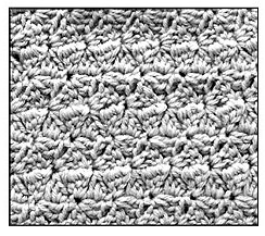 FlyingShells.jpg (34291 bytes)