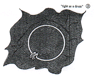 freehand3.gif (28745 bytes)