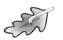 puff2.gif (7925 bytes)