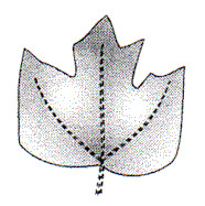 puff4.gif (10293 bytes)