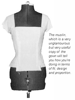 Photo 2 -- Muslin